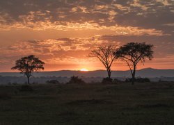 Zachód słońca nad sawanną w Ugandzie
