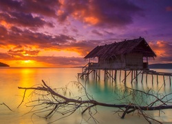 Indonezja, Wyspa Mansuar, Morze, Chata, Zachód słońca, Konar