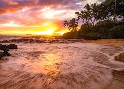 Morze, Palmy, Plaża, Zachód słońca, Chmury, Secret Beach, Maui, Hawaje, Stany Zjednoczone