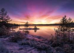 Norwegia, Ringerike, Zima, Zachód słońca, Jezioro, Drzewa
