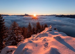 Zachód słońca nad zimowym lasem i opadająca mgła