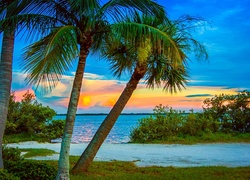 Zachód słońca z palmami i morzem