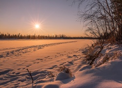 Zachodzące promienie słońca rozświetlają pole i las pokryte śniegiem