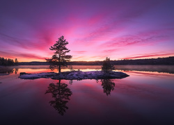 Zadrzewiona wysepka na norweskim jeziorze w blasku zachodzącego słońca