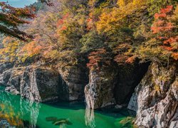 Jesień, Skały, Rzeka Iya, Kolorowe, Drzewa, Dolina, Iya Valley, Prefektura Tokushima, Wyspa Sikoku, Japonia