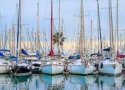 Port, Żaglówki, Palma de Mallorca, Majorka, Hiszpania
