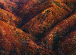 Zalesione góry jesienią