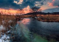 Zamarznięta rzeka w zachodzącym słońcu pośród traw okrytych śniegiem