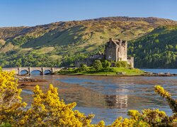 Jesień, Szkocja, Zamek, Eilean Donan Castle, Most, Wzgórza, Jezioro, Loch Duich Eilean Donan, Las, Drzewa