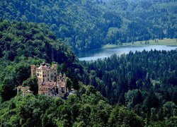 Góry, Lasy, Drzewa, Zamek Hohenschwangau, Jezioro Alpsee, Bawaria, Niemcy