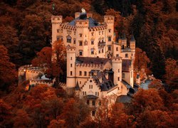 Zamek Hohenschwangau w jesiennym lesie