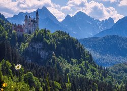Niemcy, Bawaria, Zamek Neuschwanstein, Góry, Drzewa, Chmury