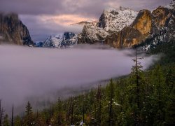 Góry, Mgła, Drzewa, Park Narodowy Yosemite, Kalifornia, Stany Zjednoczone