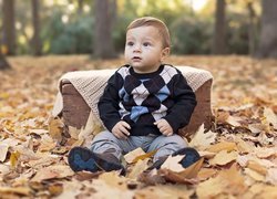 Zapatrzony chłopiec siedzący na liściach