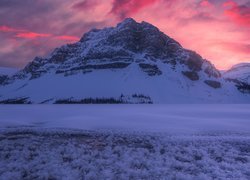Zima, Góry, Góra Crowfoot Mountain, Drzewa, Zachód słońca, Jezioro Bow Lake, Park Narodowy Banff, Kanada