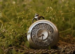 Zegarek kieszonkowy w trawie