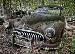 Zezłomowany Buick w lesie