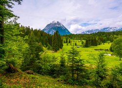 Zielone łąki i lasy na terenie gminy Telfs w Austrii