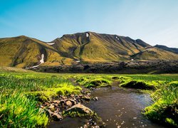 Zielone trawy nad rzeką w Islandii