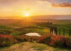 Zielone wzgórza Toskanii w blasku wschodzącego słońca