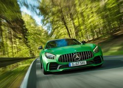 Zielony, Mercedes-AMG GT R, Droga, Las
