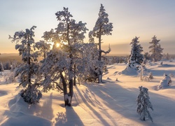 Zima w lapońskim Äkäslompolo