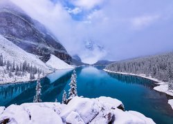 Park Narodowy Banff, Jezioro Moraine, Góry, Ośnieżone, Lasy, Drzewa, Mgła, Zima, Prowincja Alberta, Kanada