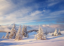 Zima, Góry, Śnieg, Drzewa, Iglaste