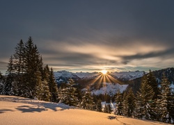 Zimowy górski krajobraz z lasem w promieniach słońca