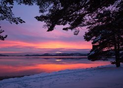 Zima, Drzewa, Zachód słońca, Fiord Topdalsfjorden, Kristiansand, Norwegia