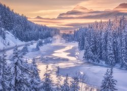 Zima, Rzeka, Śnieg, Świerki, Ośnieżone, Góry, Canadian Rockies, Park Narodowy Banff, Alberta, Kanada