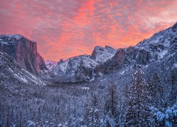Stany Zjednoczone, Kalifornia, Park Narodowy Yosemite, Zima, Drzewa, Ośnieżone, Góra, El Capitan