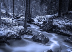Zimowy las i rzeka płynąca wśród kamieni