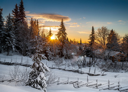 Zimowy zachód słońca nad lasem i drewnianym domkiem pośród drzew