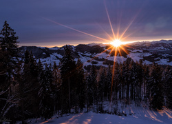 Zimowy zachód słońca nad ośnieżonymi szczytami gór i lasem