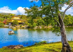 Świątynia Kinkakuji, Złoty Pawilon, Drzewo, Staw Kyko chi, Kioto, Japonia