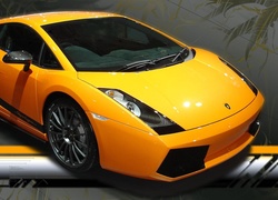 Żółte Lamborghini Gallardo
