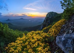 Góry, Skały, Kwiaty, Różaneczniki, Kaukaz, Kraj Stawropolski, Rosja