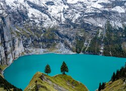 Szwajcaria, Kanton Berno, Alpy Berneńskie, Skały, Góry, Jezioro, Oeschinen, Drzewa