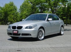 BMW 5, Srebrny, E60, Plac, Drzewa