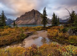 Góry, Góra, Crowfoot Mountain, Jezioro, Bow Lake, Drzewa, Roślinność, Park Narodowy Banff, Kanada