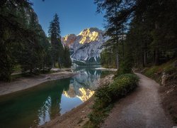 Włochy, Góry Dolomity, Region Alta Pusteria, Dolina Val Pusteria, Dolina Val di Braies, Jezioro Braies - Pragser Wildsee, Drzewa, Droga