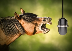 Koń, Mikrofon, Śmieszne