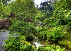 Mostek nad strumieniem w zielonym ogrodzie