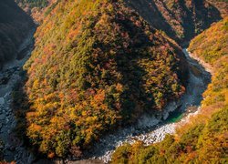 Jesień, Zalesione, Góry, Drzewa, Lasy, Rzeka Iya, Dolina, Hinoji Valley, Wyspa Sikoku, Japonia