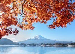 Stratowulkan, Fuji, Fudżi, Góra, Jezioro, Gałęzie, Liście, Honsiu, Japonia