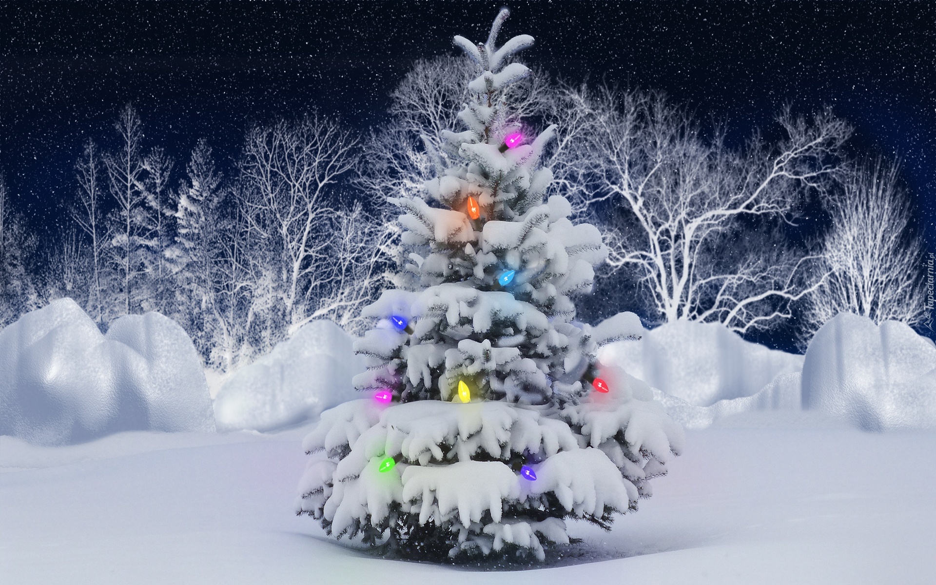 Oświetlona, Choinka, Drzewa, Zima, Świątecznie