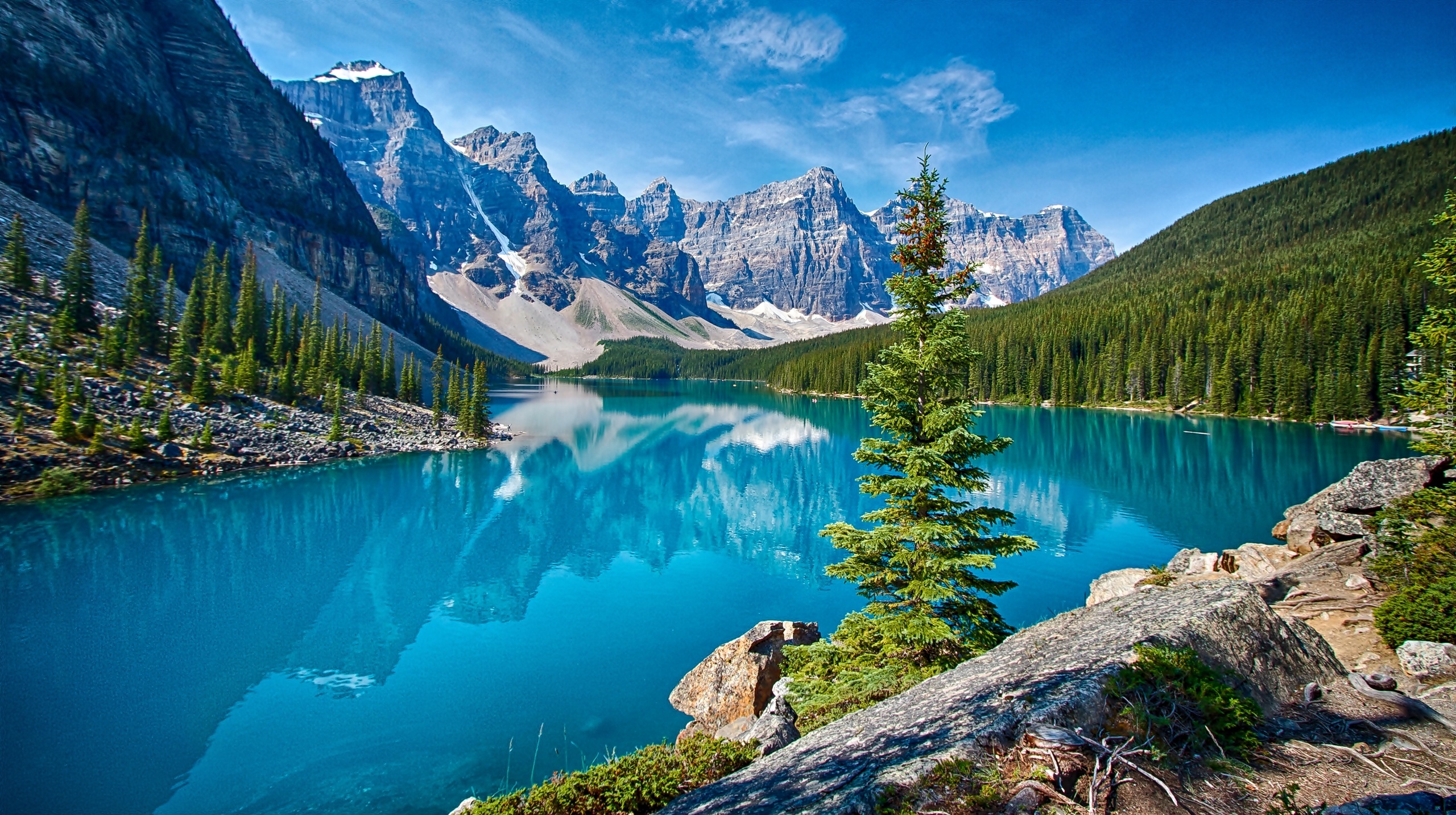 Kanada, Prowincja Alberta, Park Narodowy Banff, Góry, Jezioro Moraine, Świerki