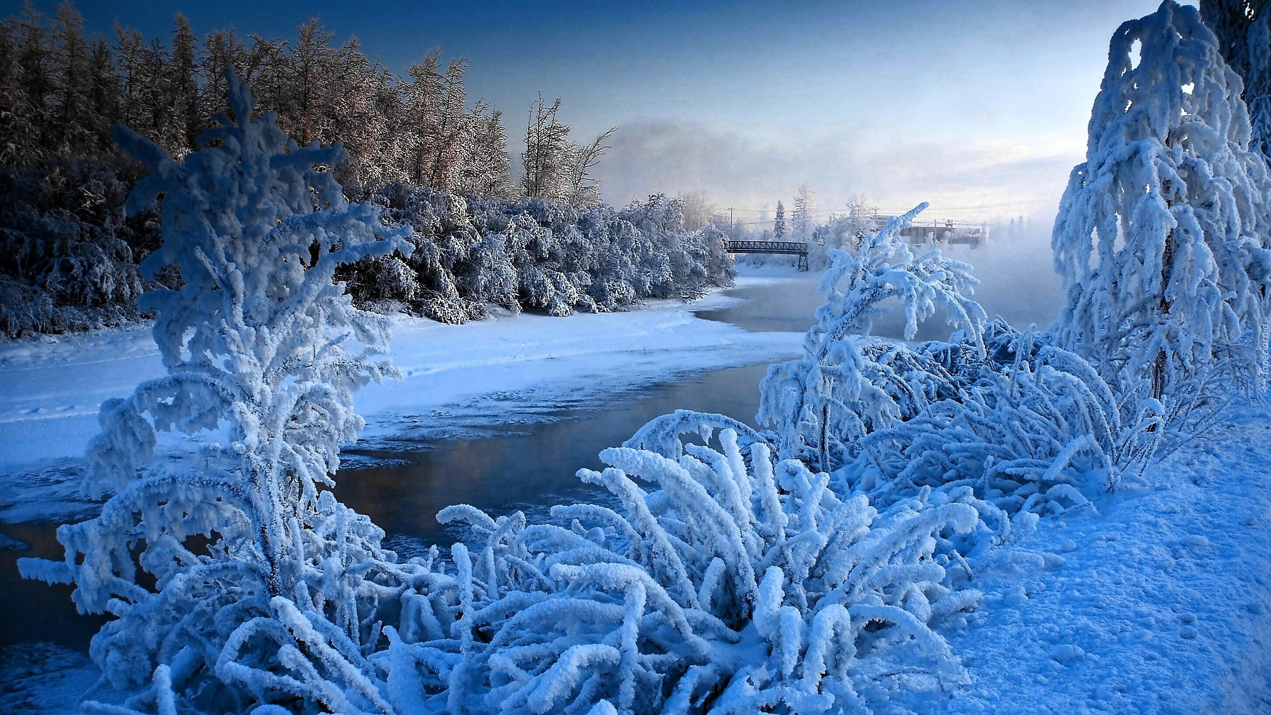 Zima, Rzeka, Las, Mostek