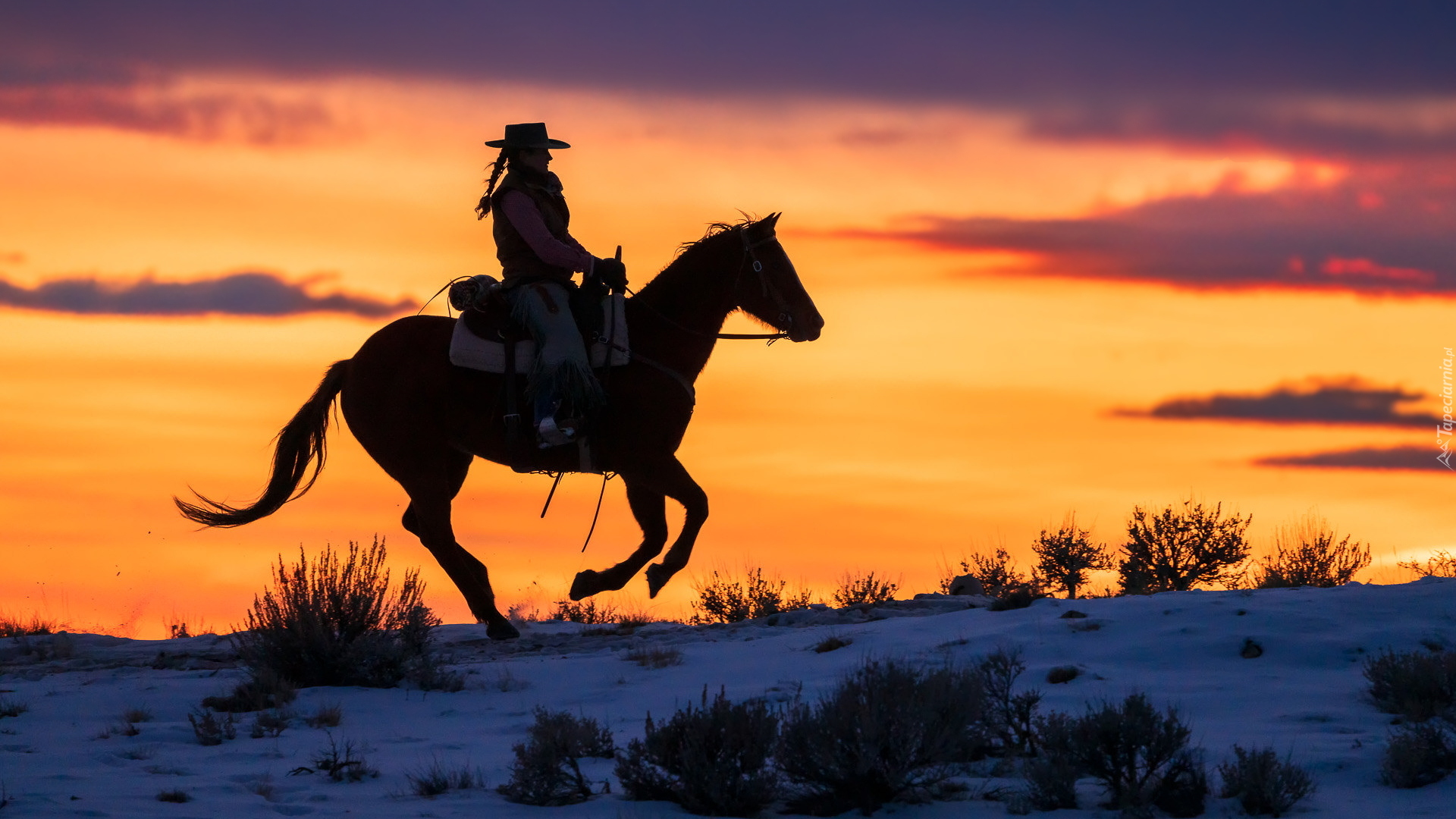 Koń, Kobieta, Zachód słońca
